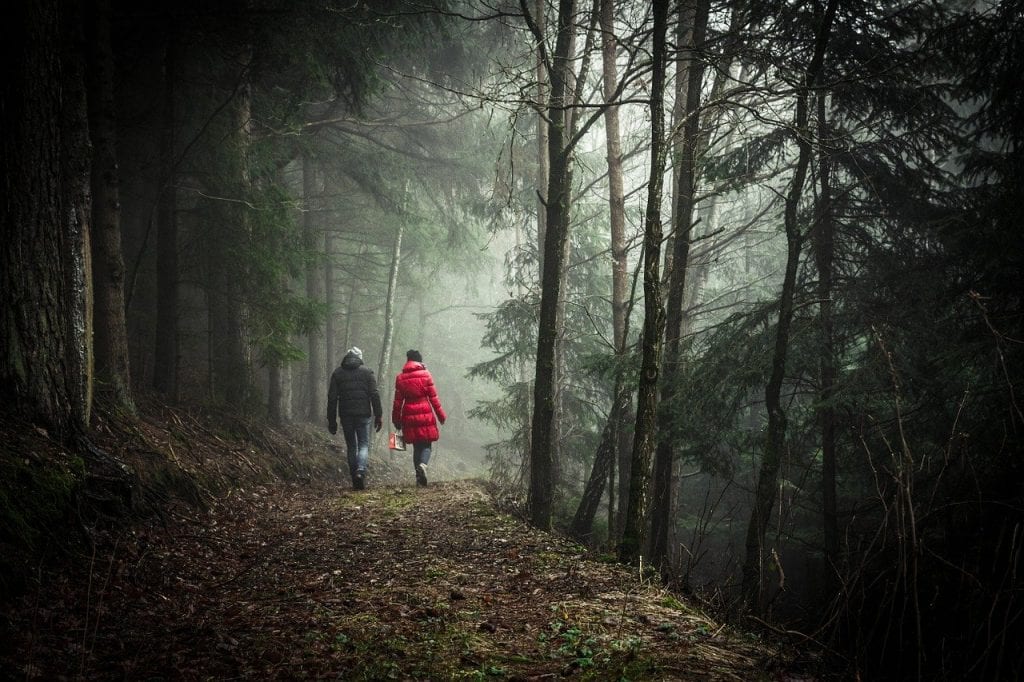 walking, forest, couple