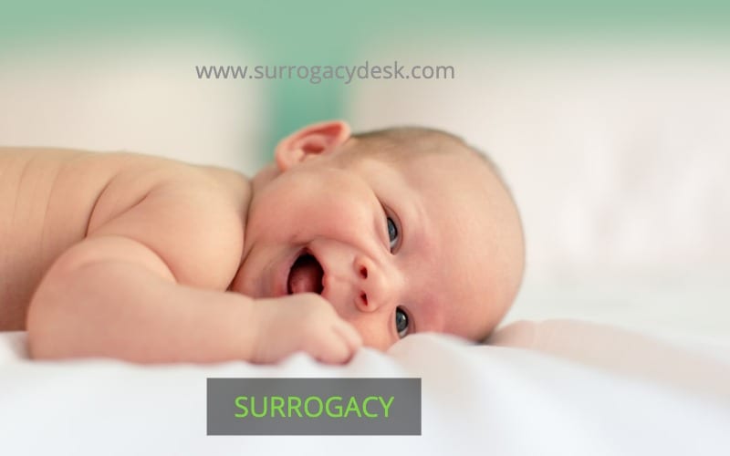 www.surrogacydesk.com