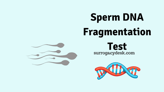 Sperm DNA fragmentation Test